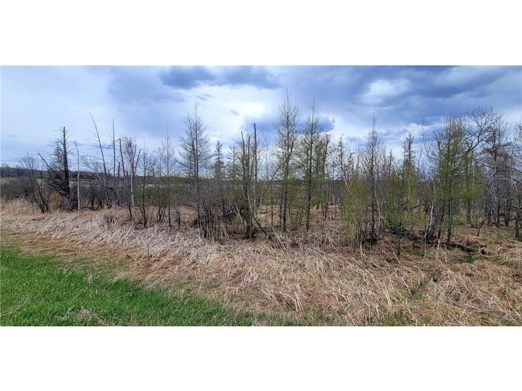 290xx County Highway 35 Maine Twp MN 56586 - West Lost Lake 7075223 image17