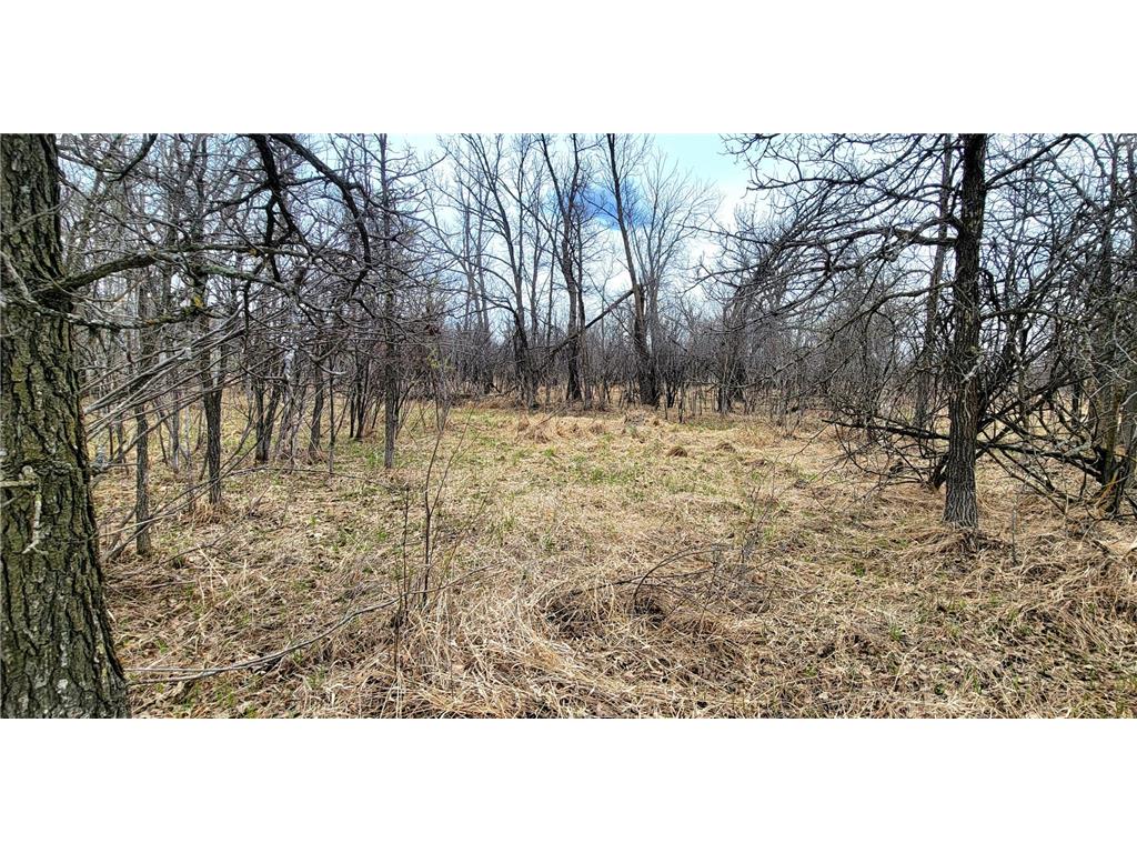 290xx County Highway 35 Maine Twp MN 56586 - West Lost Lake 7075223 image4
