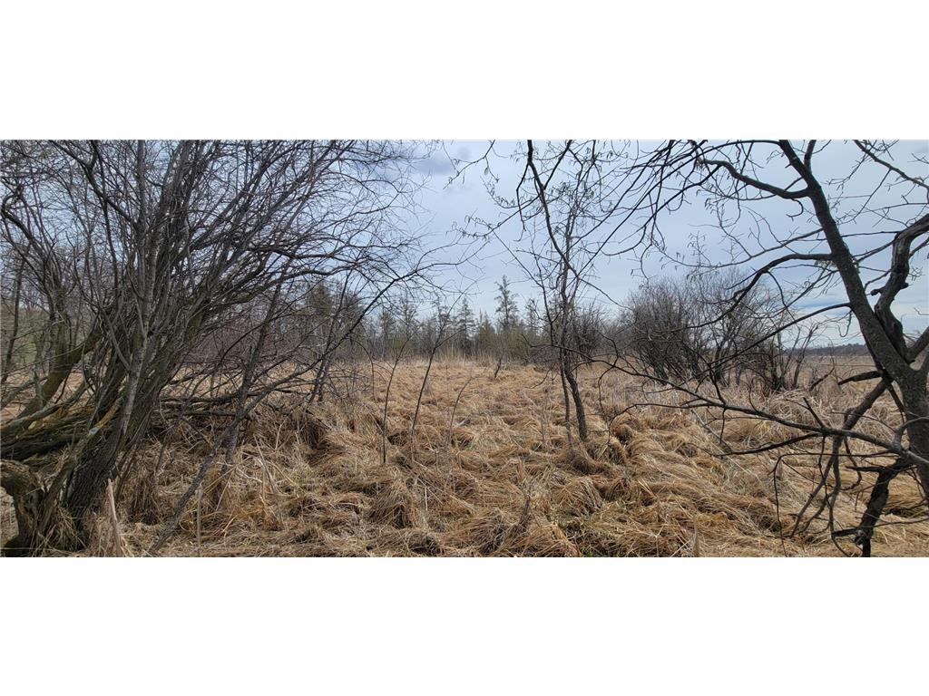 290xx County Highway 35 Maine Twp MN 56586 - West Lost Lake 7075223 image7