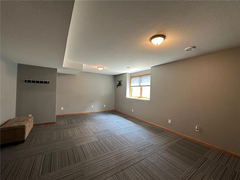 29107 Danel Avenue Randolph MN 55065 7059820 image31