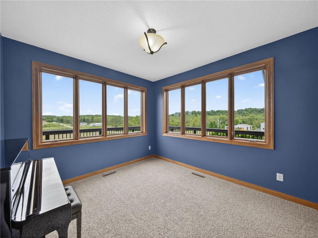 29112 Ingot Drive Fountain MN 55935 7012735 image19