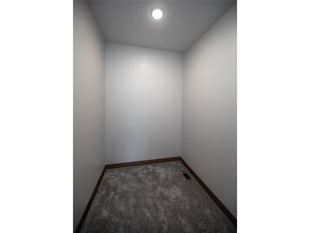 29194 Cynthia Path Randolph MN 55065 7006530 image22