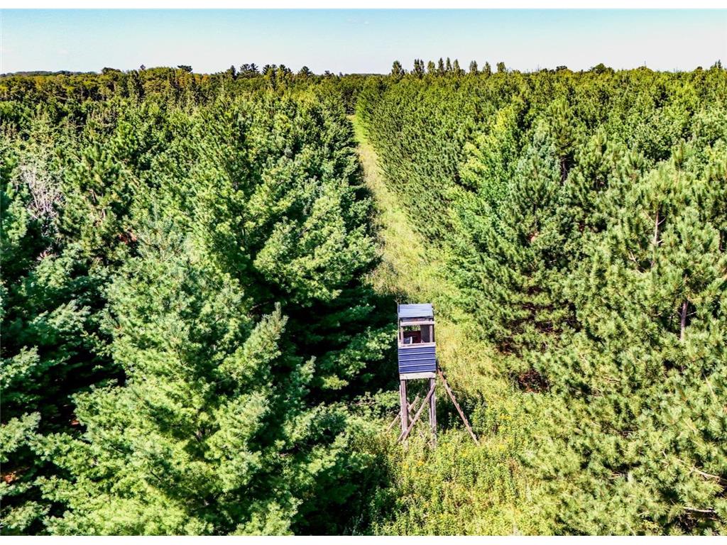 291XX 455th St Perham MN 56573 6579330 image1