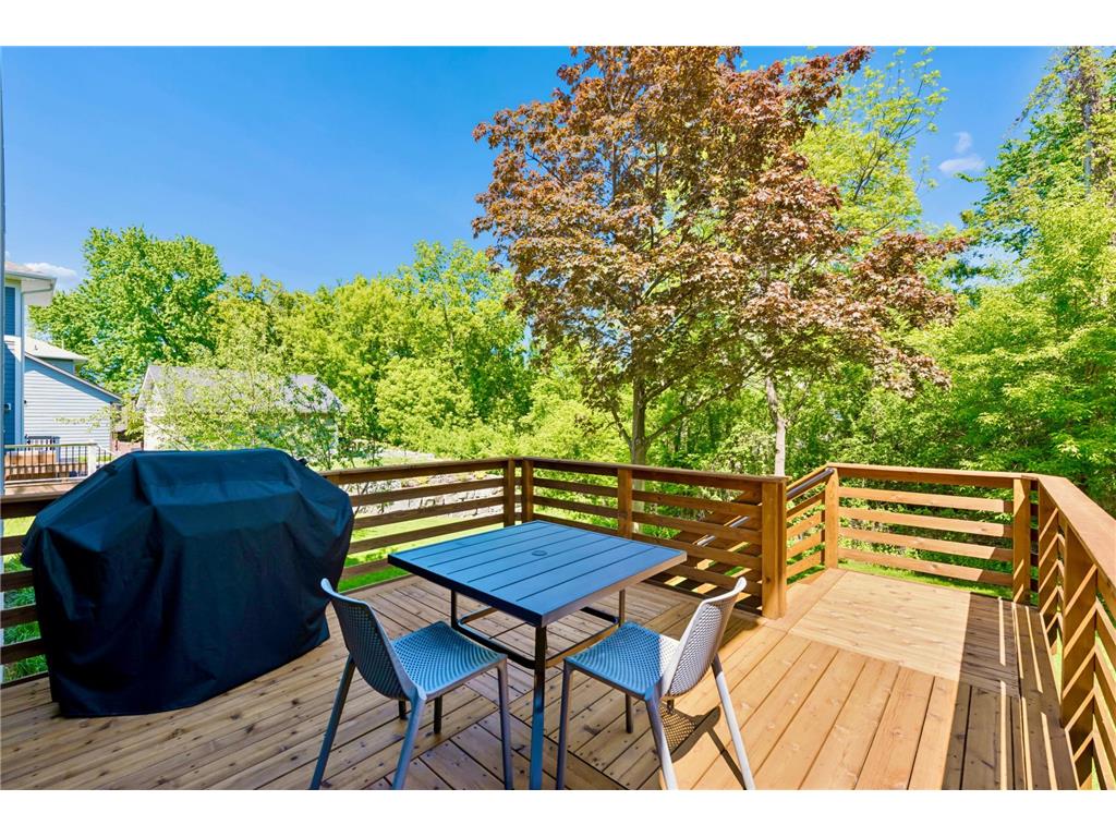 292 Vincent Avenue N Minneapolis MN 55405 7079488 image57