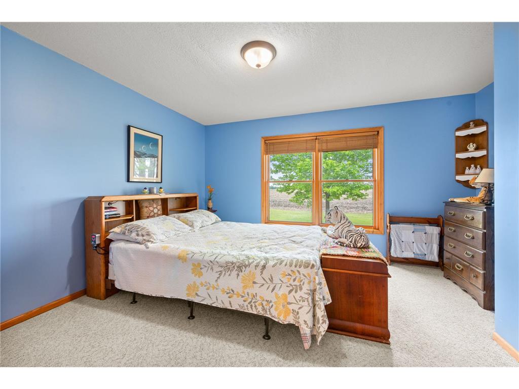 2920 97th Court Plato MN 55370 7074800 image11