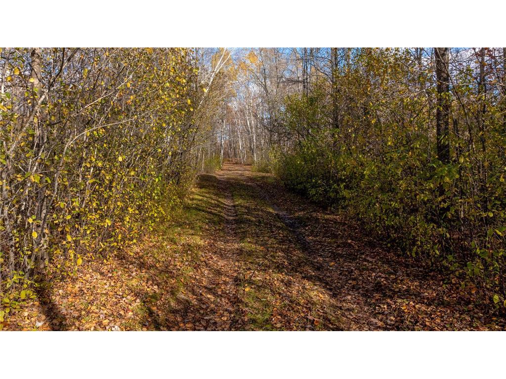 29206 388th Place Aitkin MN 56431 - Lone 6811926 image12