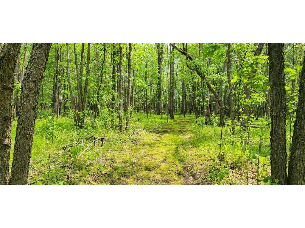 2922 Highway 11 S Loman MN 56654 - Rainy River 6734008 image37