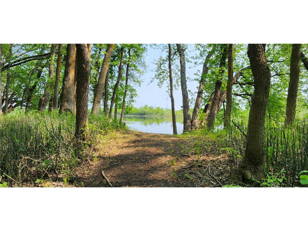2922 Highway 11 S Loman MN 56654 - Rainy River 6734008 image6