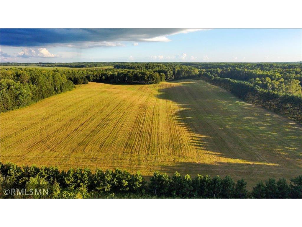 29224 Hawks Nest Lane Hinckley MN 55037 6774178 image23