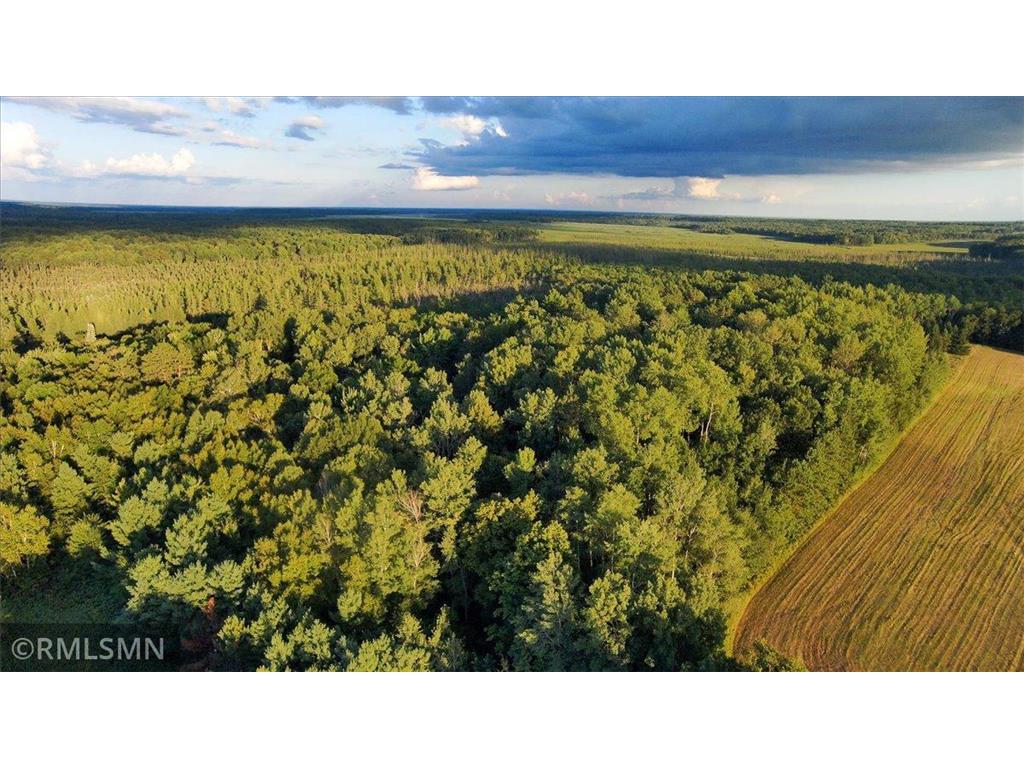 29224 Hawks Nest Lane Hinckley MN 55037 6774178 image25