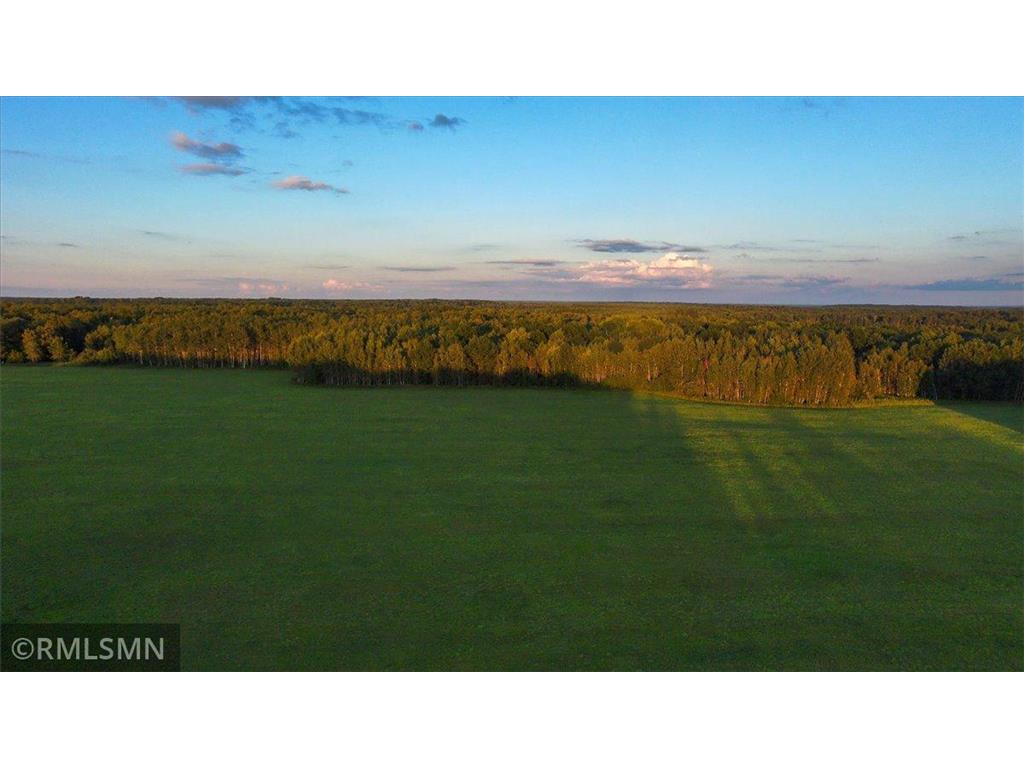 29224 Hawks Nest Lane Hinckley MN 55037 6774178 image30