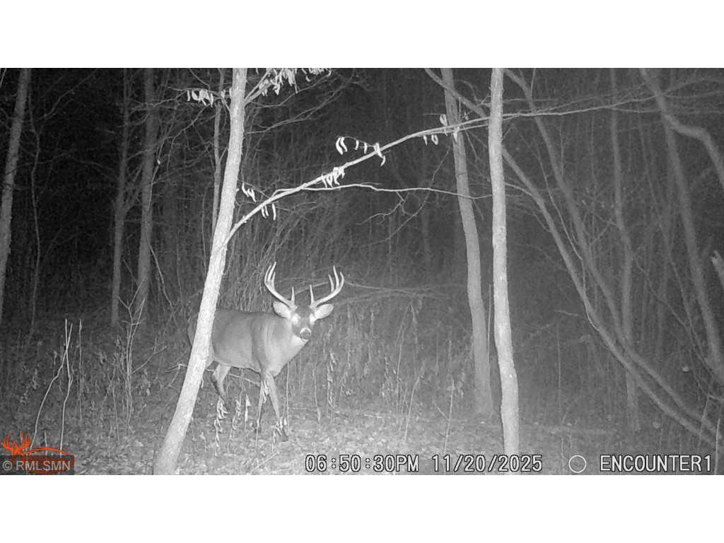 29224 Hawks Nest Lane Hinckley MN 55037 6774178 image37