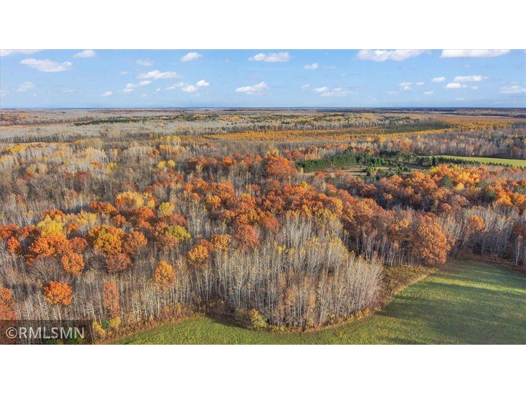 29224 Hawks Nest Lane Hinckley MN 55037 6774178 image4