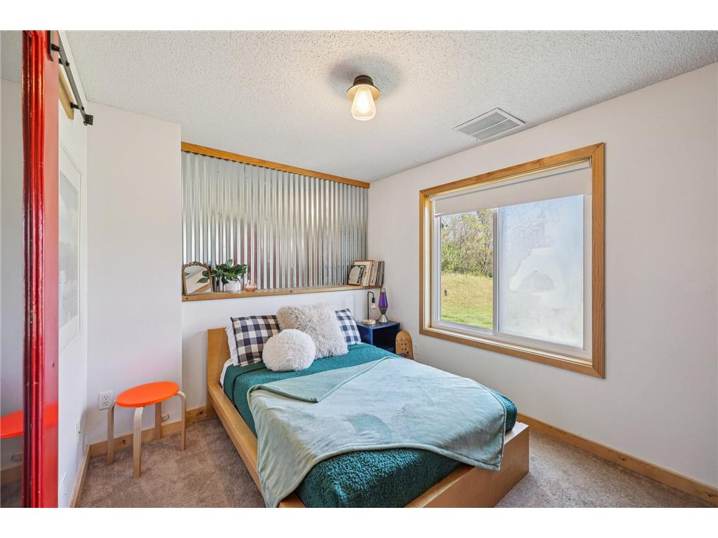 29225 113th Street Baldwin Twp MN 55371 7048669 image19