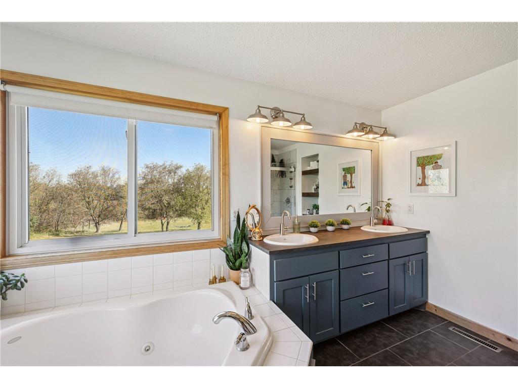 29225 113th Street Baldwin Twp MN 55371 7048669 image22