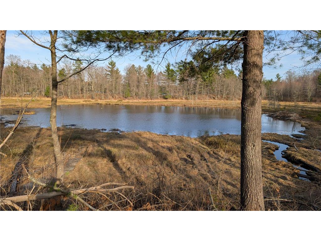 29228 Honkers Hollow Scott Twp WI 54830 - Nicaboyne Lake 7061243 image5