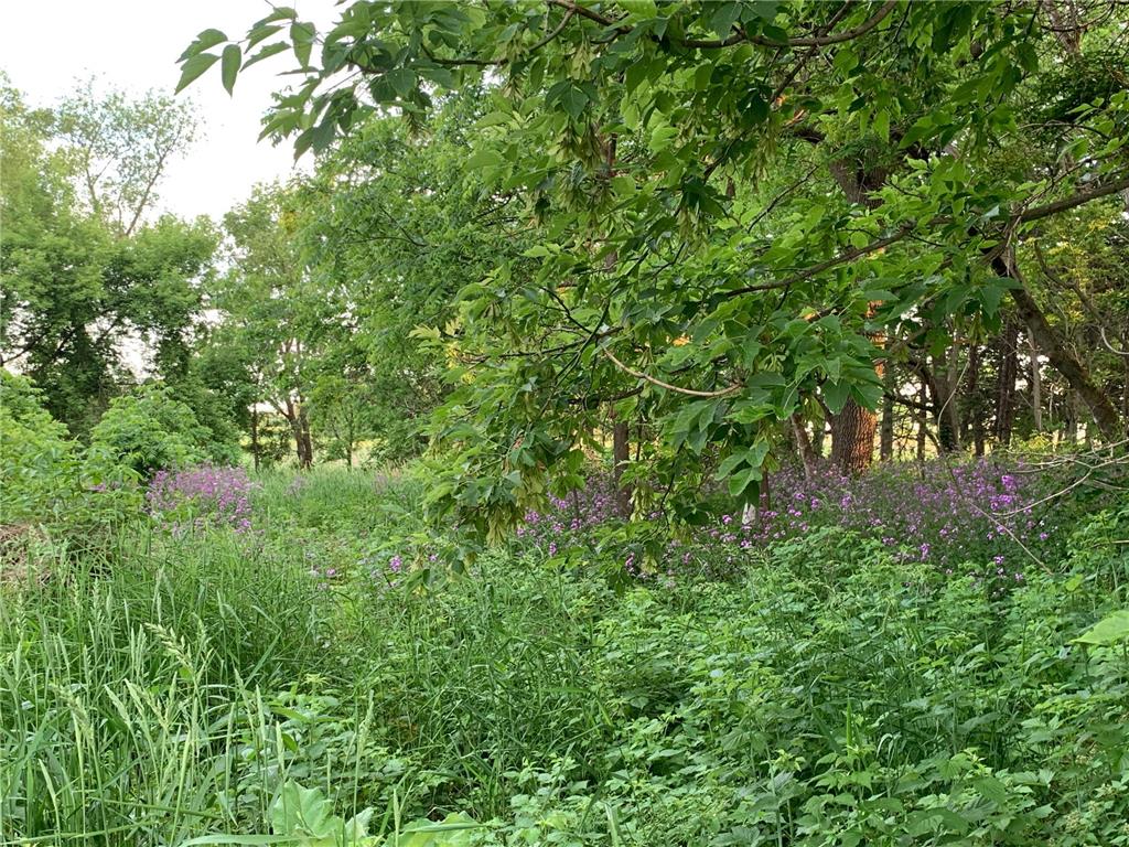 2923 SW 52nd Avenue Owatonna MN 55060 7062509 image14