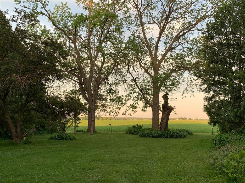 2923 SW 52nd Avenue Owatonna MN 55060 7062509 image18