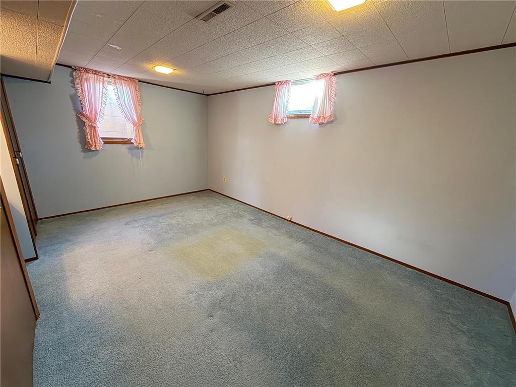 29245 Dickman Avenue Randolph MN 55065 7045528 image42