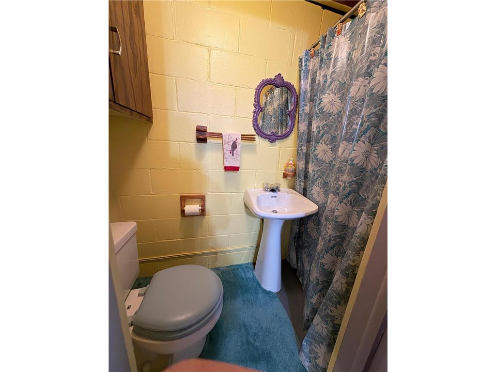 29245 Dickman Avenue Randolph MN 55065 7045528 image43