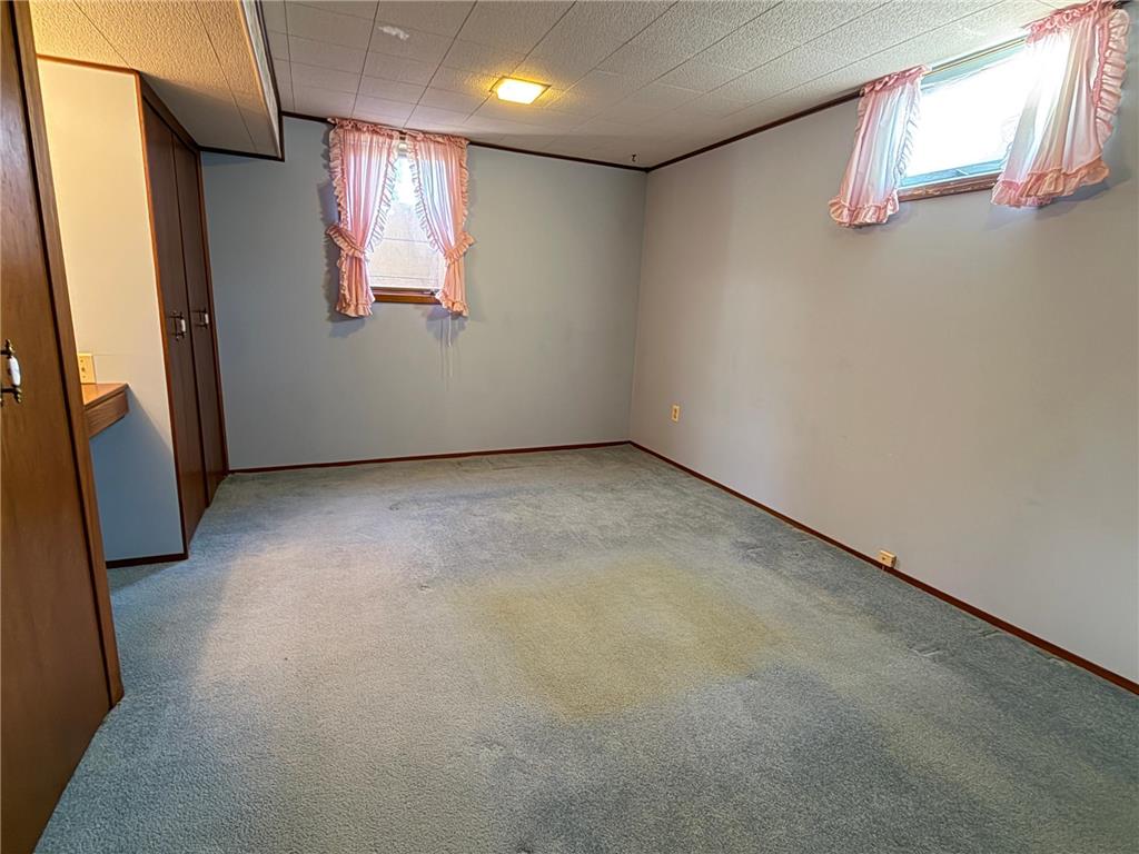29245 Dickman Avenue Randolph MN 55065 7045528 image46
