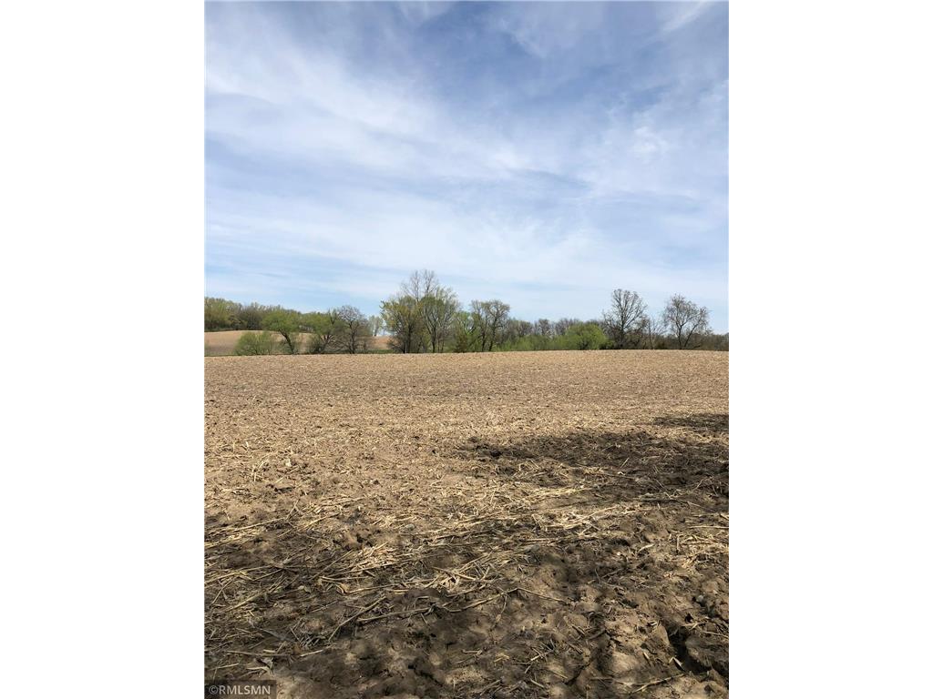 29248 Isle Avenue Greenvale Twp MN 55057 6511064 image1