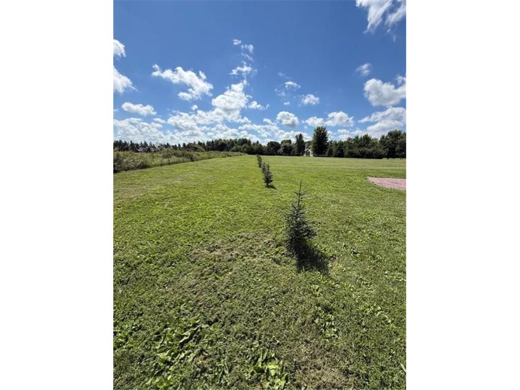 2925 Matthew Drive Windom MN 56101 7092022 image6