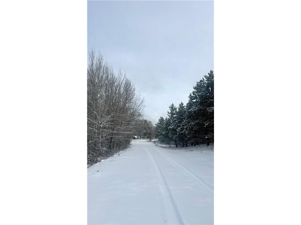 29284 Mchugh Road Burlington Twp MN 56501 7049764 image2