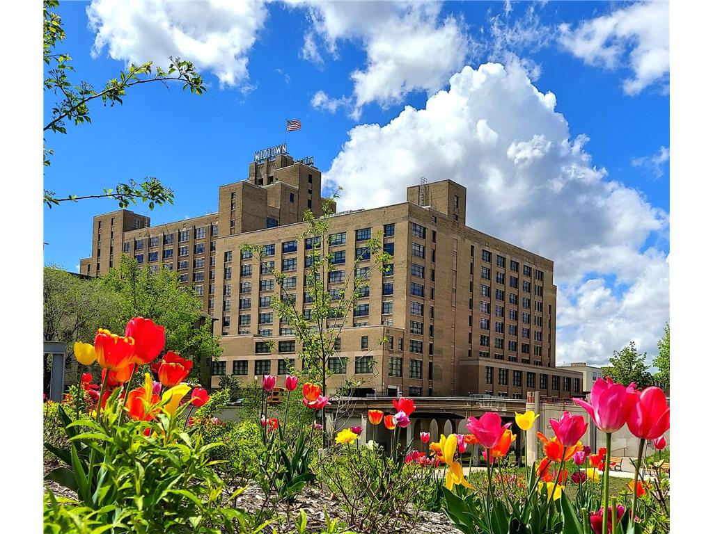 2929 Chicago Avenue #1002 Minneapolis MN 55407 7063276 image1