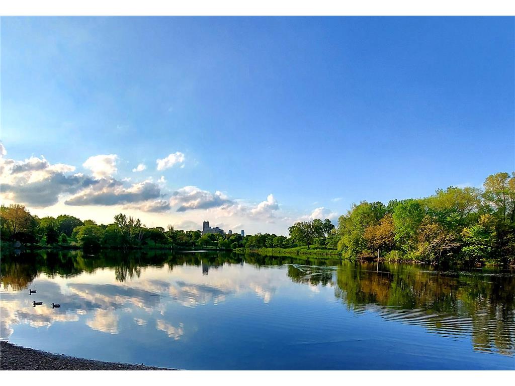 2929 Chicago Avenue #1002 Minneapolis MN 55407 7063276 image46