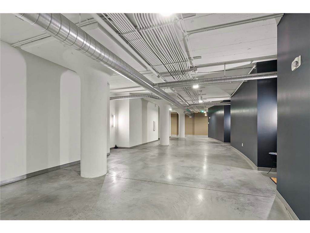 2929 Chicago Avenue #1003 Minneapolis MN 55407 6800881 image54