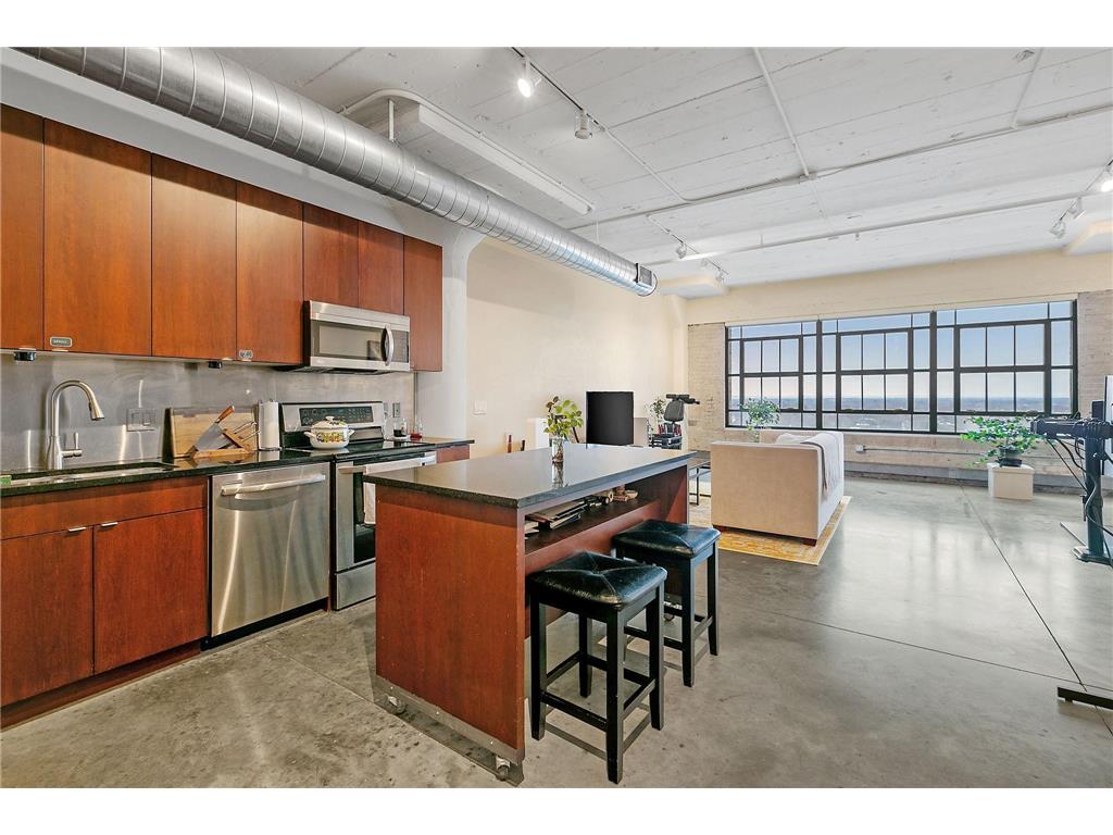 2929 Chicago Avenue #1018 Minneapolis MN 55407 6538178 image1