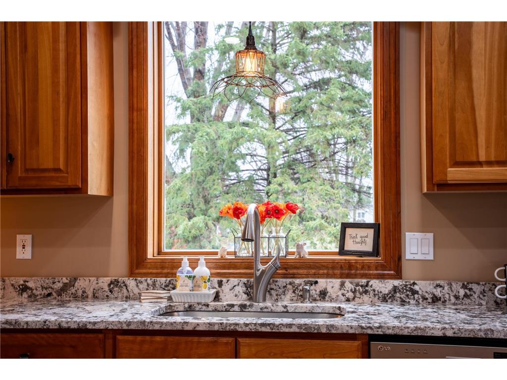 29295 Endress Way Randolph Twp MN 55009 6801892 image12