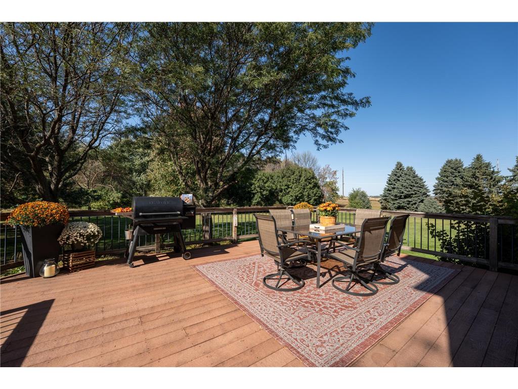 29295 Endress Way Randolph Twp MN 55009 6801892 image21