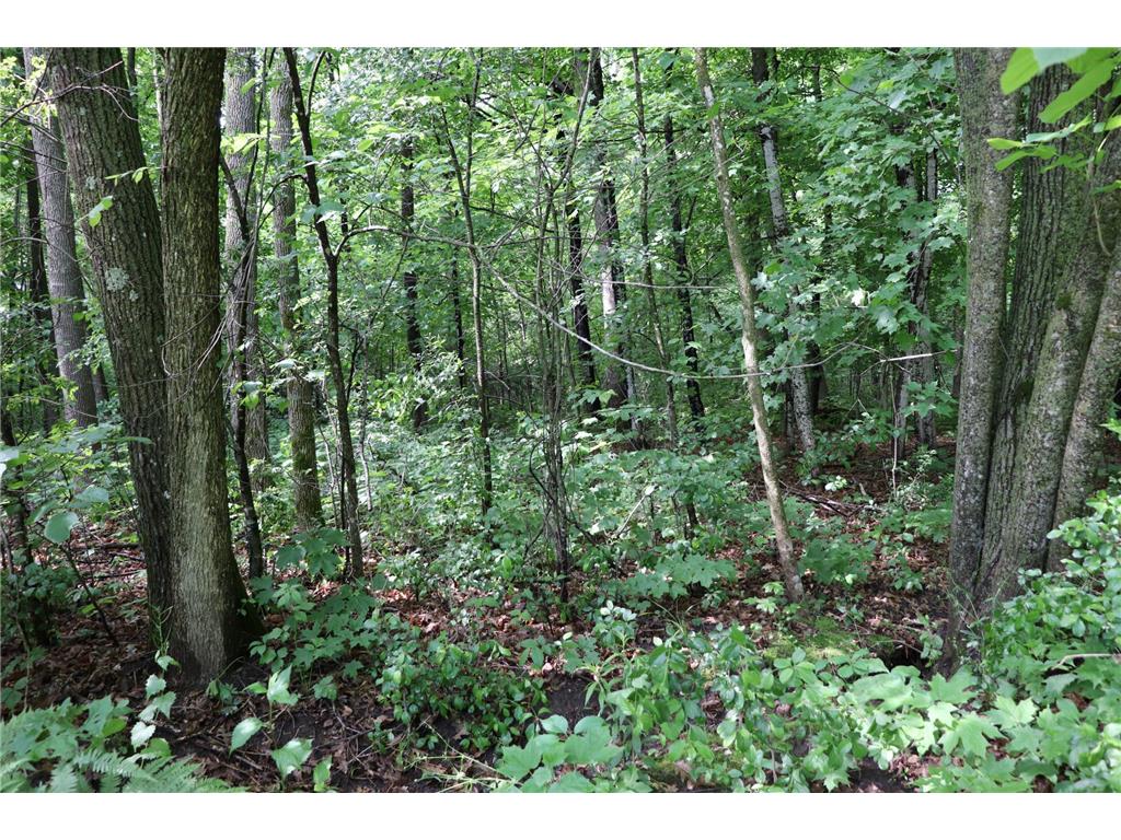 29305 Frontage Road Saint Joseph Twp MN 56374 7083566 image15