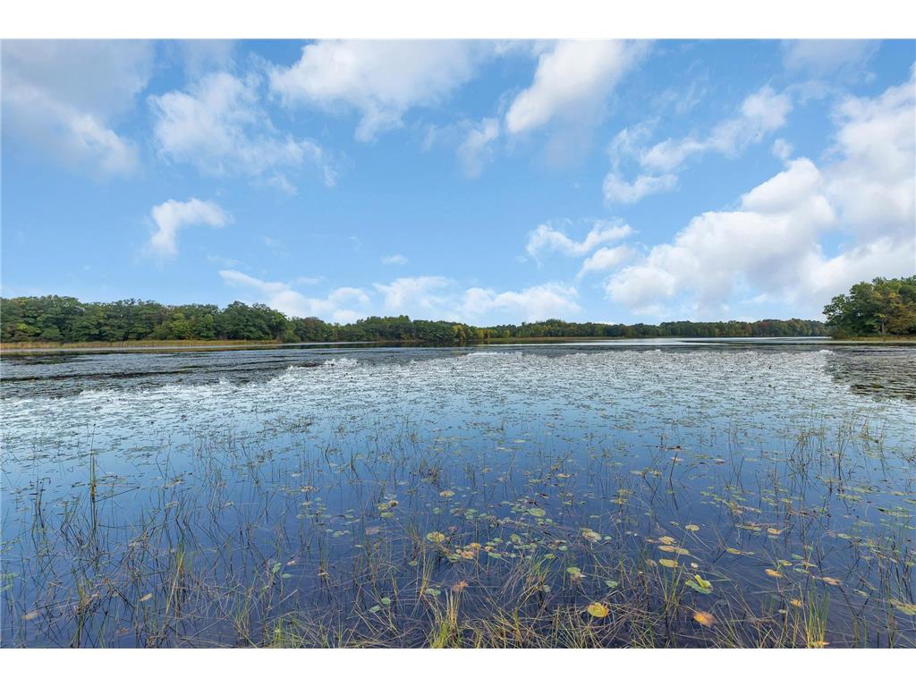 29313 Island Lake Road Collegeville Twp MN 56374 - Island Lake 6770342 image39