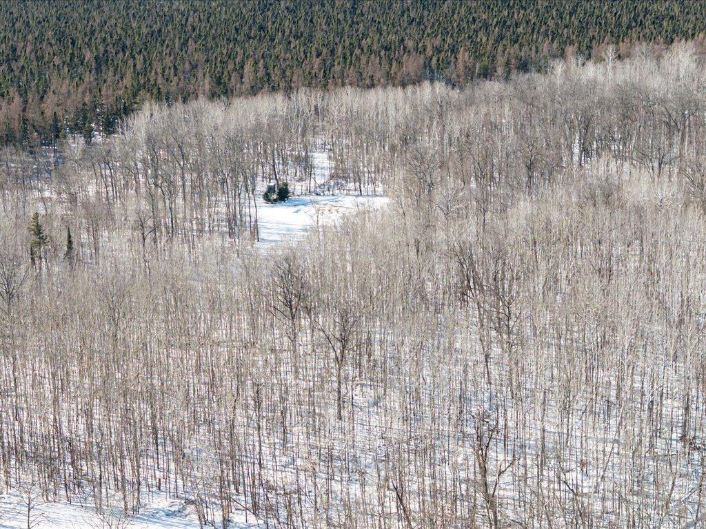 29326 County Road 1 Emily MN 56447 7012862 image24