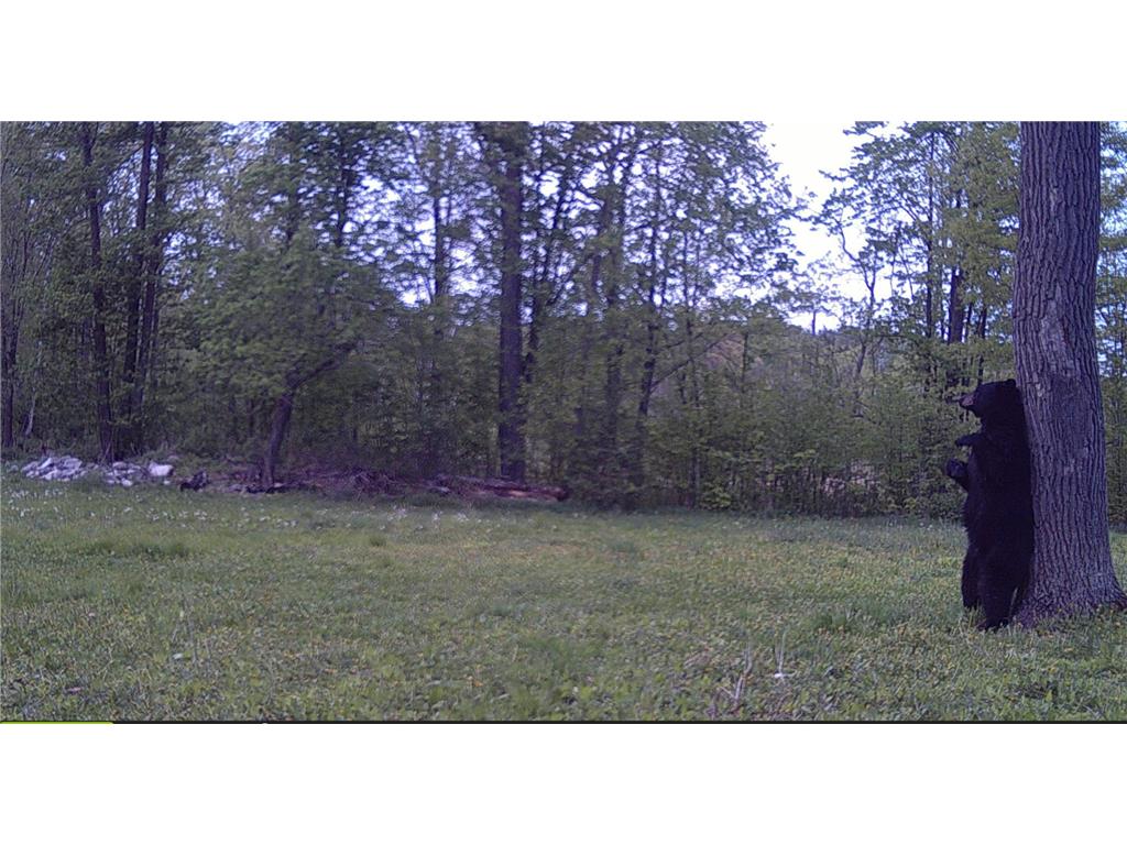 29326 County Road 1 Emily MN 56447 7012862 image70