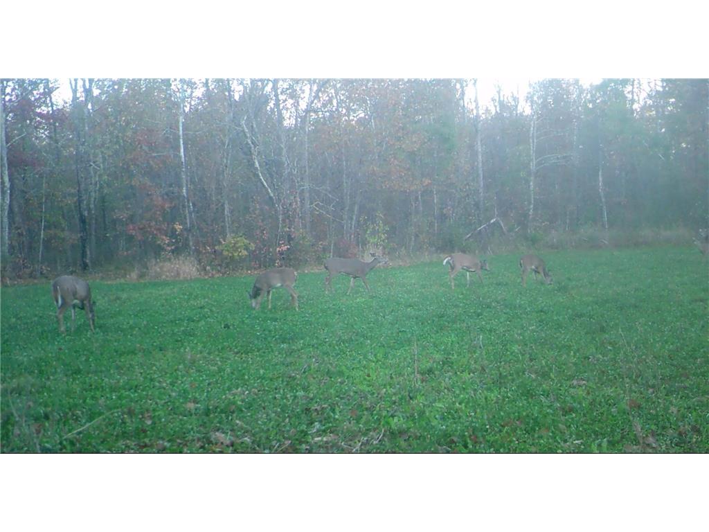 29326 County Road 1 Emily MN 56447 7012862 image75
