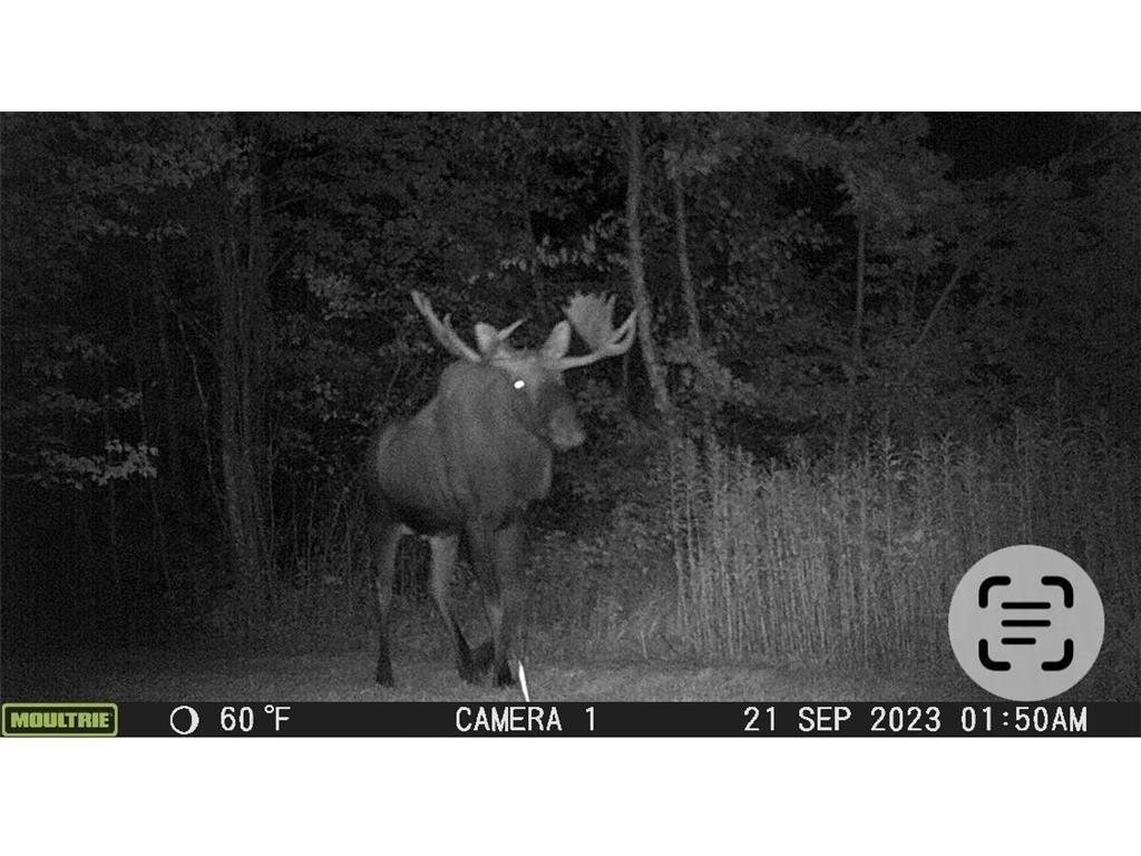 29326 County Road 1 Emily MN 56447 7012862 image9