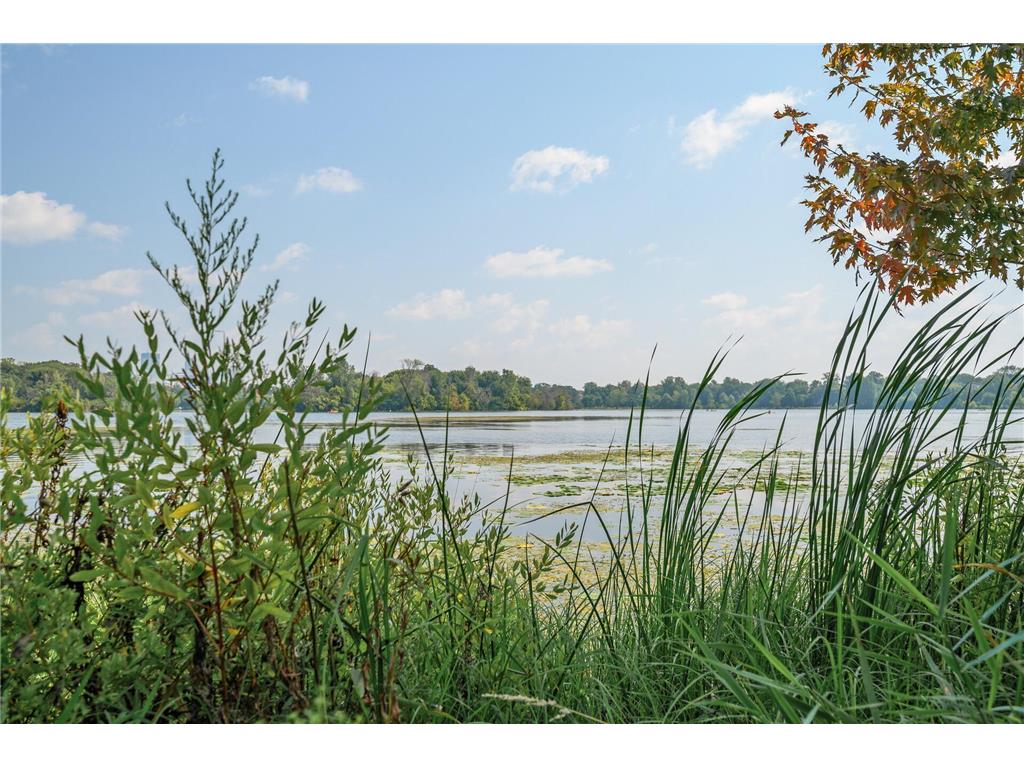 2934 Monterey Avenue S Saint Louis Park MN 55416 7016989 image44