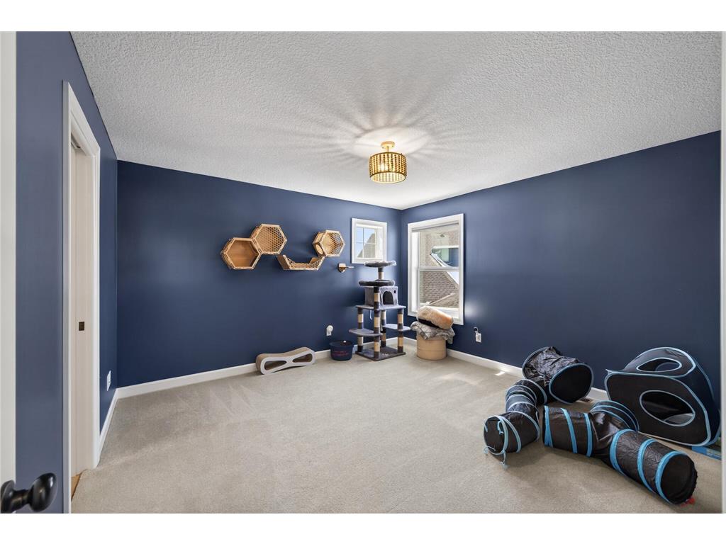 2935 132nd Court NE Blaine MN 55449 7034256 image41
