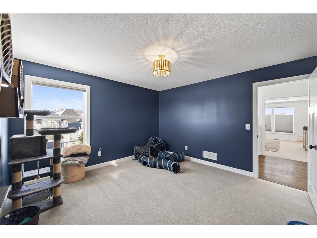 2935 132nd Court NE Blaine MN 55449 7034256 image42
