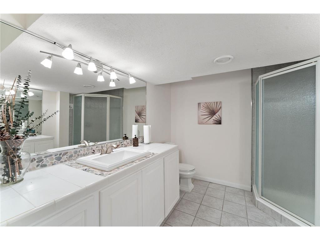 2935 Minnehaha Curve E Minnetonka MN 55391 6747102 image74