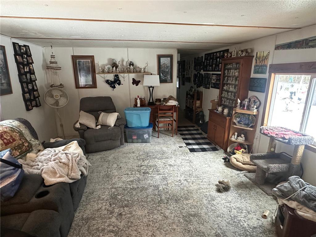 29368 685th Avenue Laona Twp MN 56673 6696666 image9