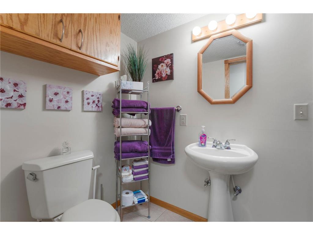 29376 Hillcrest Drive Stacy MN 55079 7072962 image43