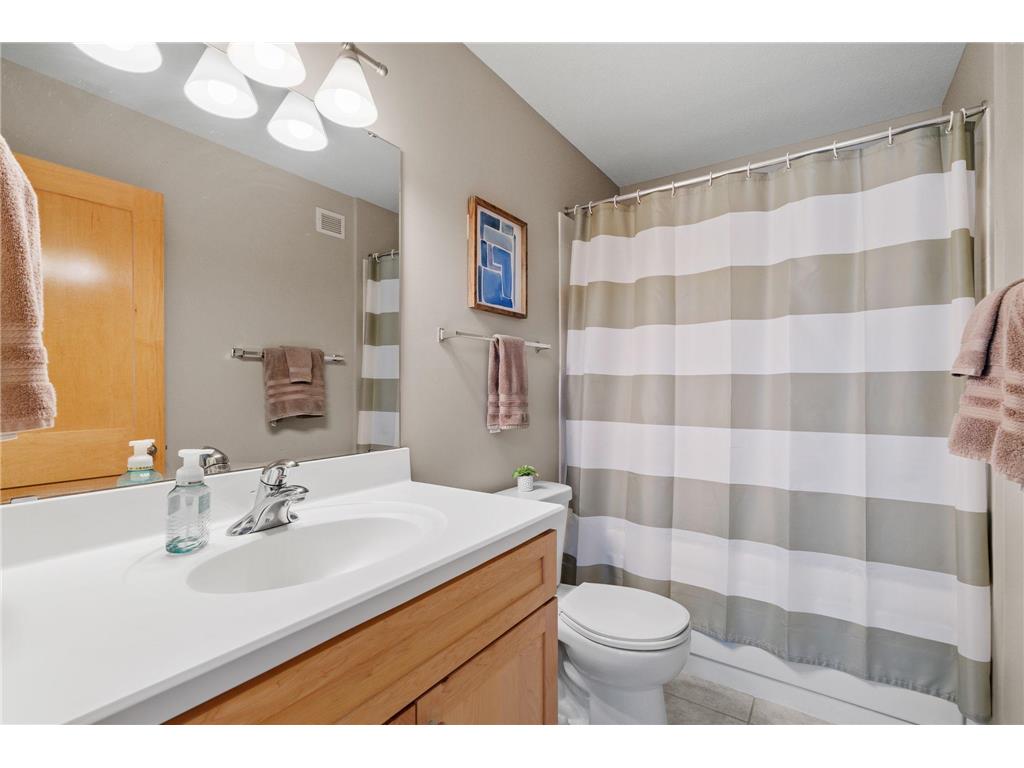 294 Spring Street Saint Paul MN 55102 7024890 image22