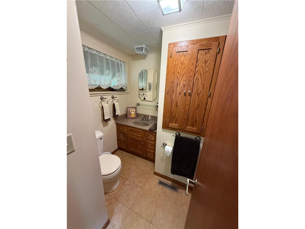 29417 442nd Lane Palisade MN 56469 - Jenkins 7088742 image14
