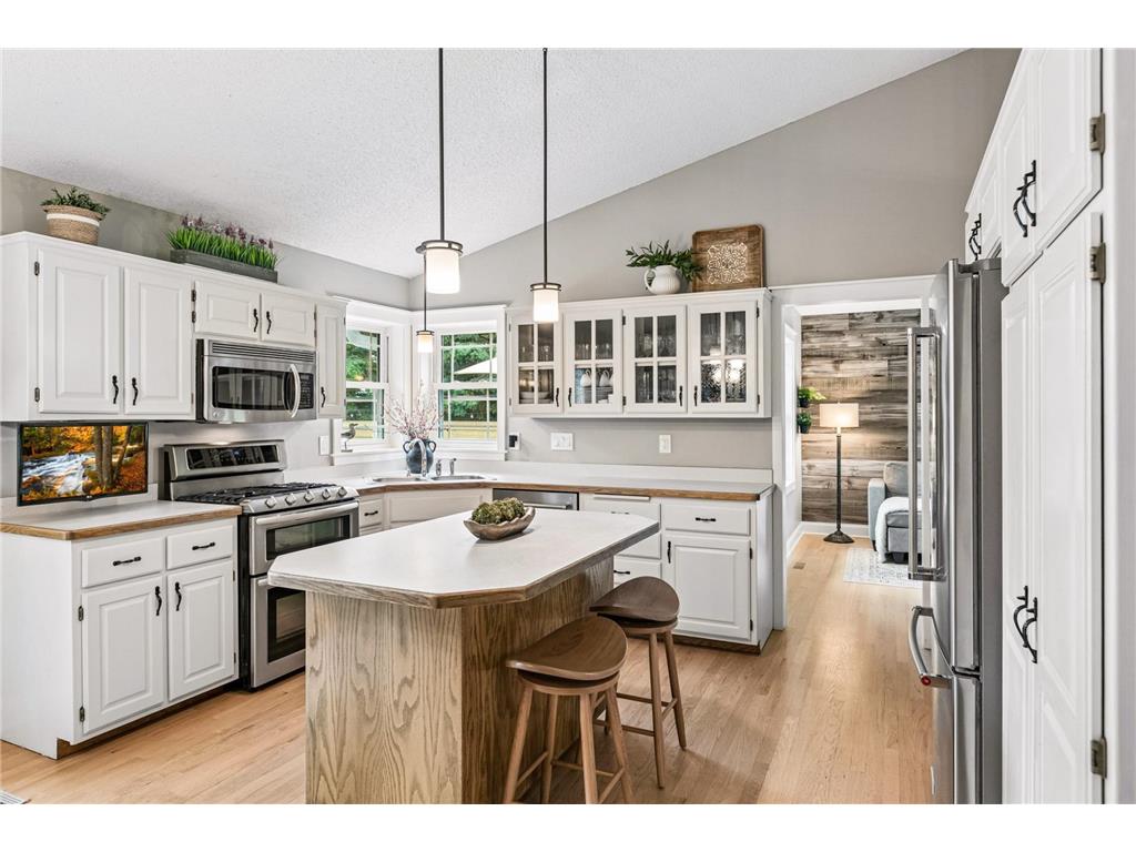 2945 Costa Lane Little Canada MN 55117 7106423 image15