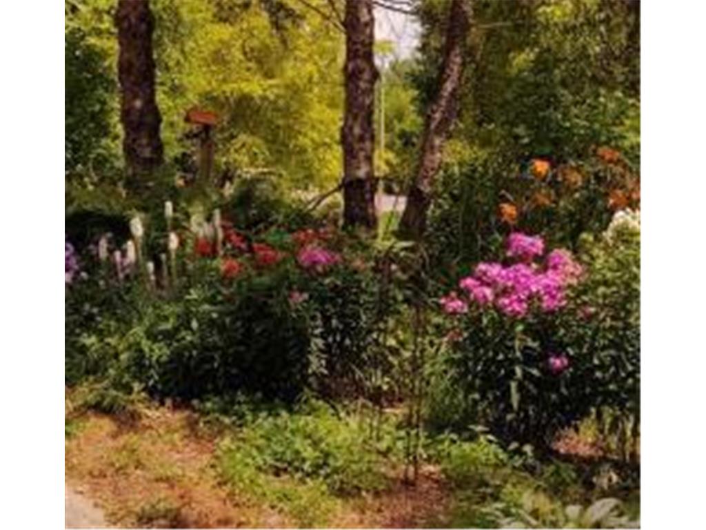 2945 County Road 4 #65 SW Cokato MN 55321 - Cokato 7003519 image10